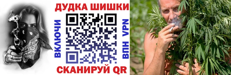 как найти закладки  Ногинск  Марихуана конопля 